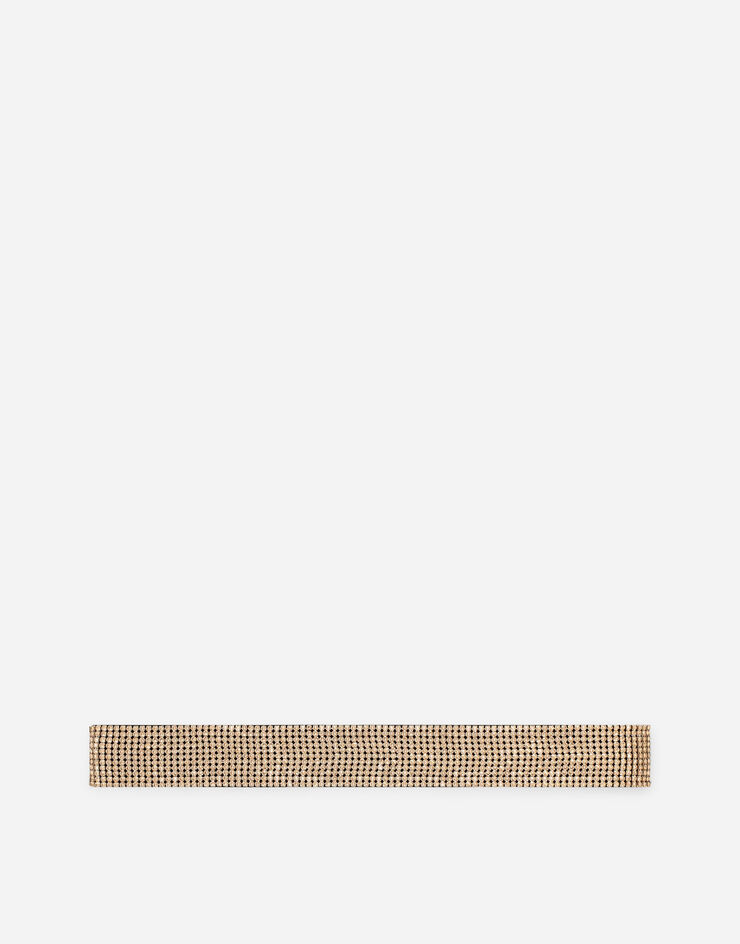 Dolce & Gabbana Bejeweled belt in crystal mesh Gold WLO4J1W1111