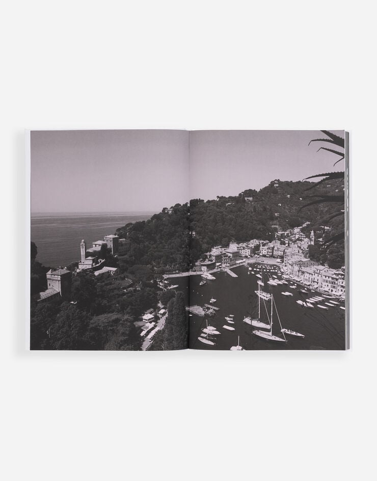 Dolce & Gabbana Dolce&Gabbana Alta Moda Multicolor VL1161VLTW2