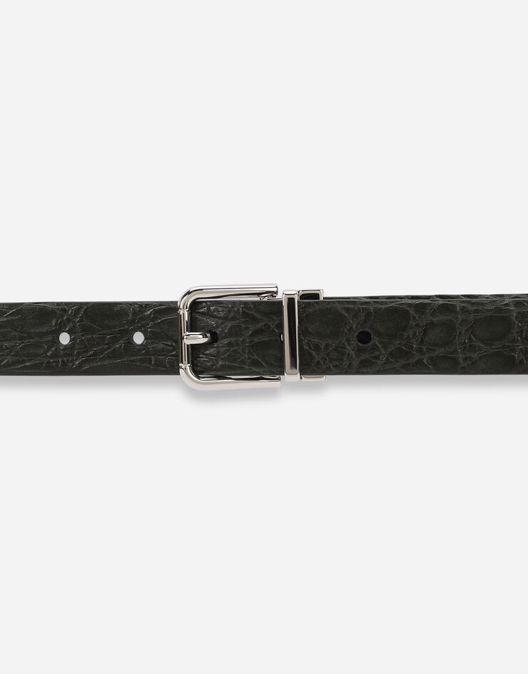 Dolce & Gabbana Crocodile skin belt VERT BC3614A2274