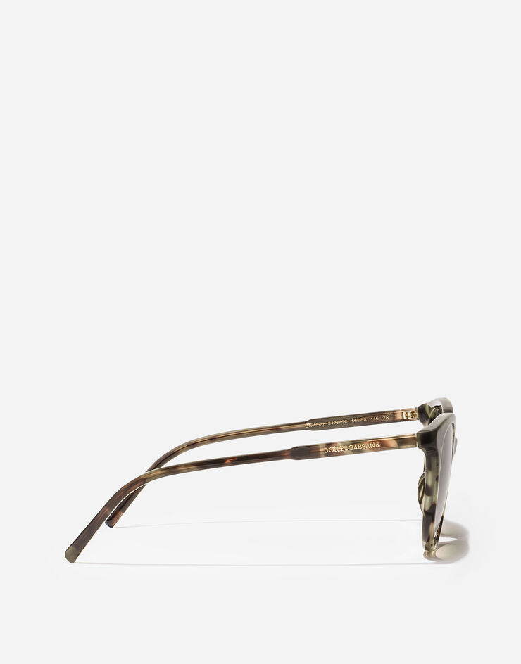 Dolce & Gabbana Everyday Sunglasses Dolce & Gabbana Everyday Sunglasses Green havana VG4540VP82C