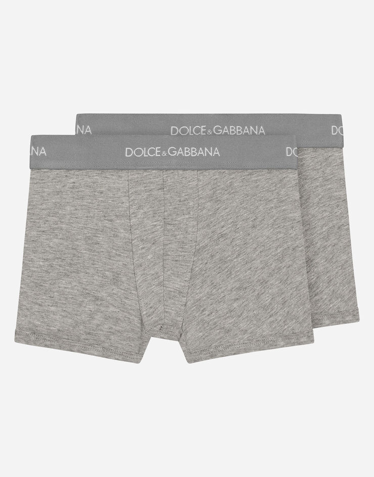 Dolce & Gabbana Lot de deux boxers avec élastique à logo Gris L4J701G7OCT