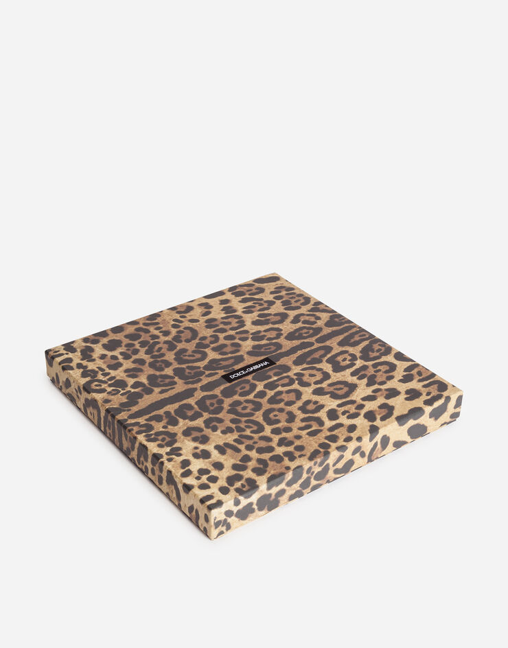 Dolce & Gabbana Leopard-print cashmere and modal scarf (135 x 200) Multicolor FS184AGDR15