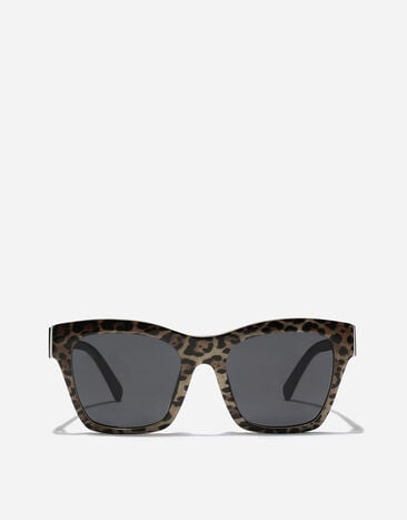 Dolce & Gabbana DG Crossed Sunglasses Leo brown on black VG4512VP387