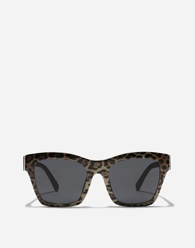 Dolce & Gabbana DG Crossed Sunglasses Leo brown on black VG4512VP387