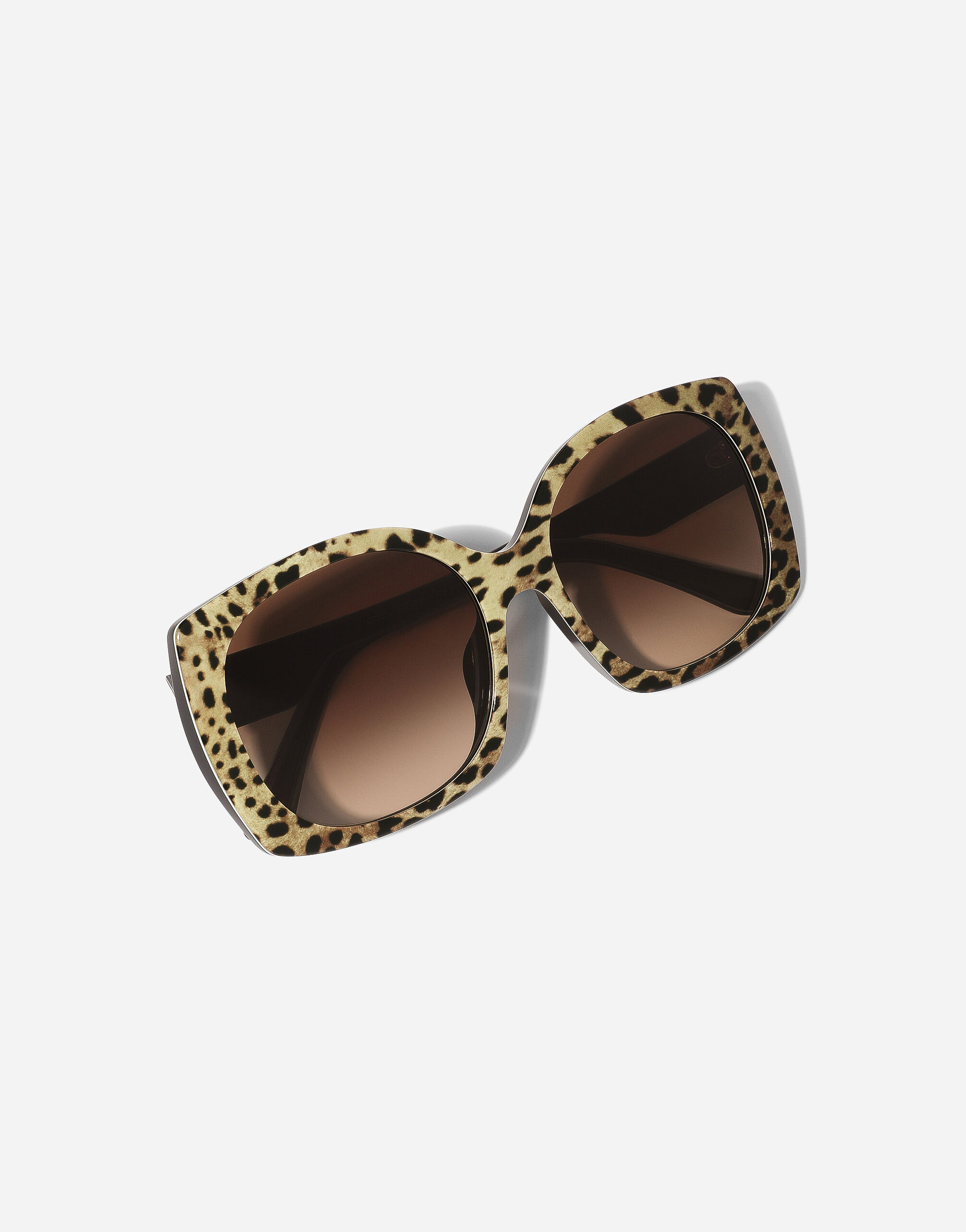 Print family sunglasses in Leo Print for Women Dolce Gabbana