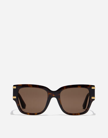 Dolce & Gabbana DG Griffe Sunglasses havana VG4563VP273