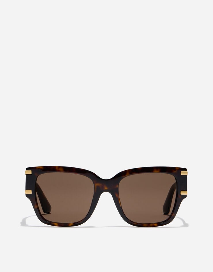 Dolce & Gabbana DG Griffe Sunglasses havana VG4563VP273