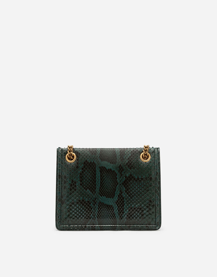 Dolce & Gabbana  VERDE BB6641A2111
