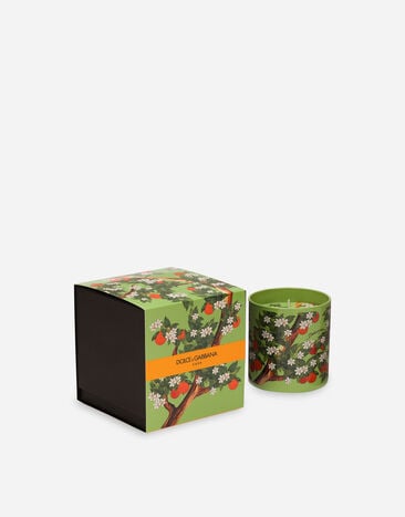 Dolce & Gabbana Ароматизированная свеча — Сицилийский апельсин разноцветный TCC159TCAG3