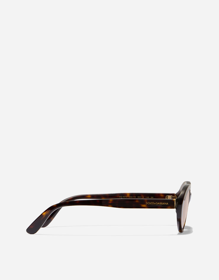Dolce & Gabbana Солнцезащитные очки Everyday Havana VG4570VP273