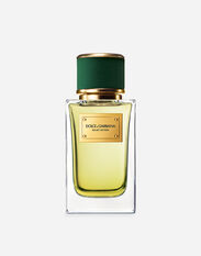 Dolce & Gabbana Velvet Vetiver  Eau de Parfum - VP003BVP000
