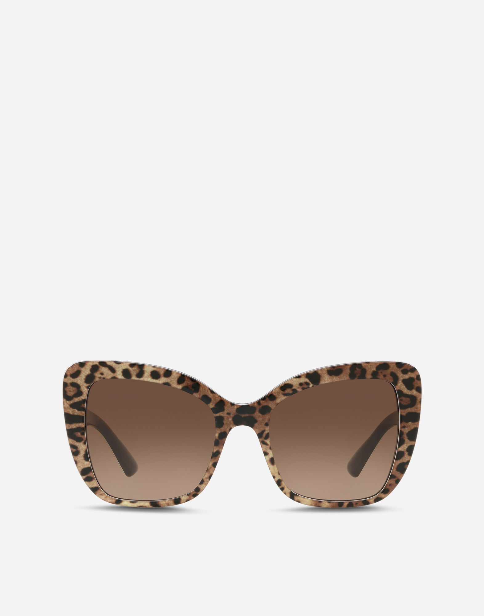 Print family sunglasses in Leo Print for Women Dolce Gabbana