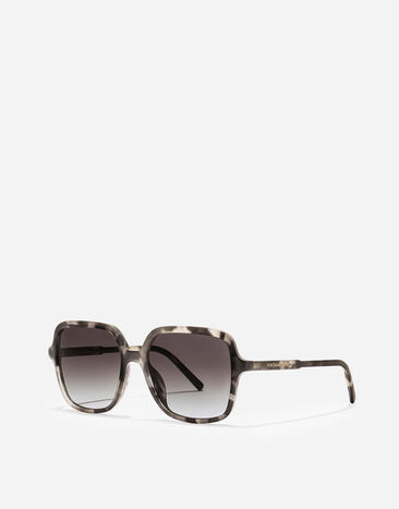 Dolce & Gabbana DG Everyday Sunglasses Yellow havana VG4539VP28G