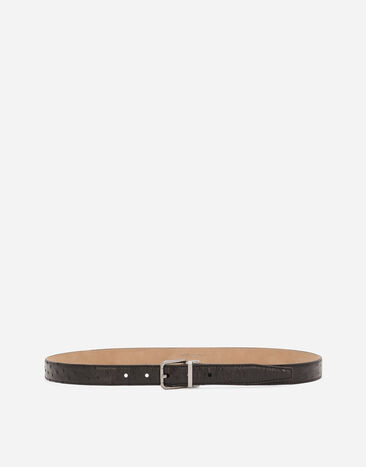 Dolce & Gabbana Ostrich leather belt Black BC4924A9Q22