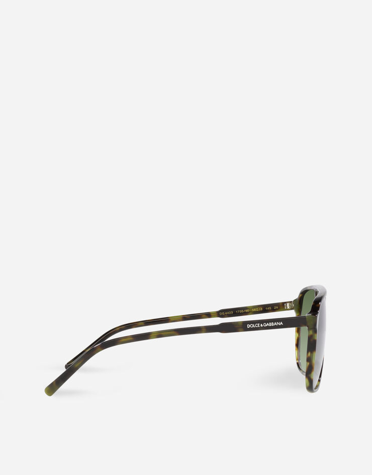 Dolce & Gabbana Thin profile sunglasses Green havana VG442AVP58E