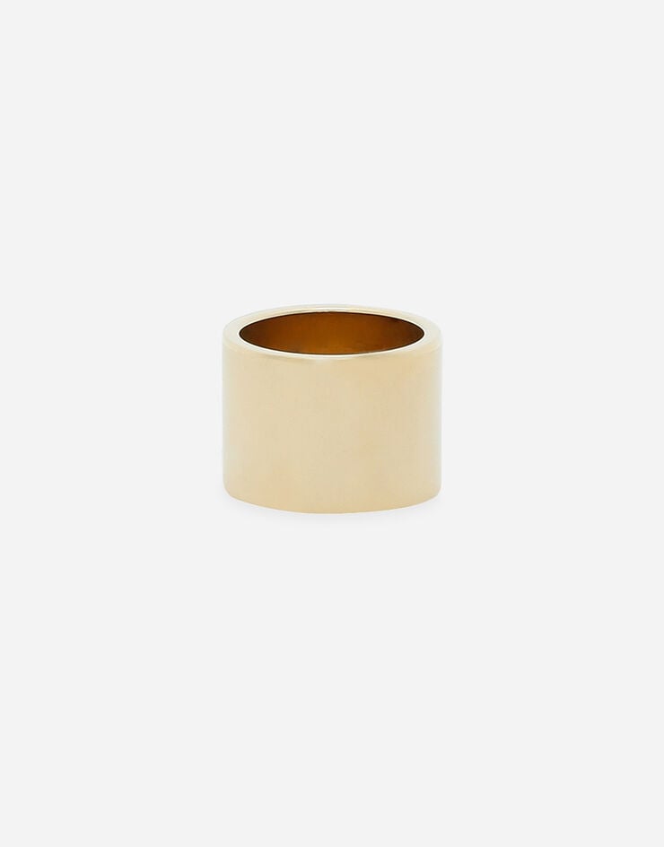 Dolce&Gabbana Anillo con placa con logotipo Multicolore WRP6T3W1111