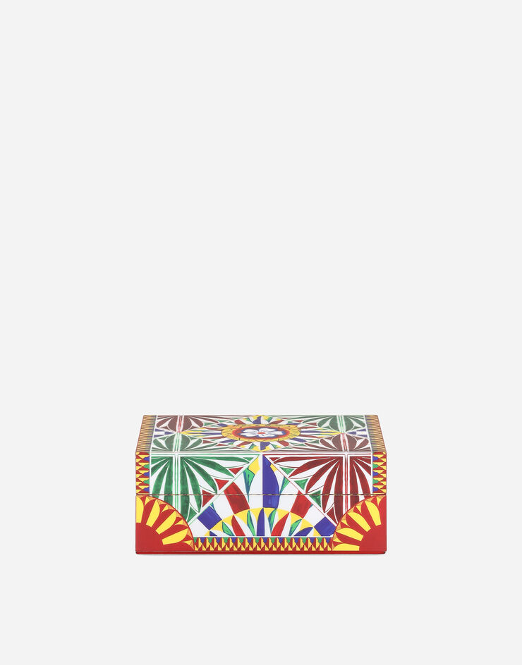Dolce & Gabbana Small Decorated Plexiglass Box Multicolor TCC202TCAMY
