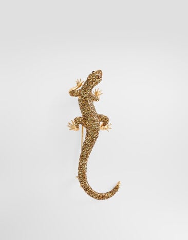 Dolce & Gabbana Lizard brooch  WPS1A1W1111