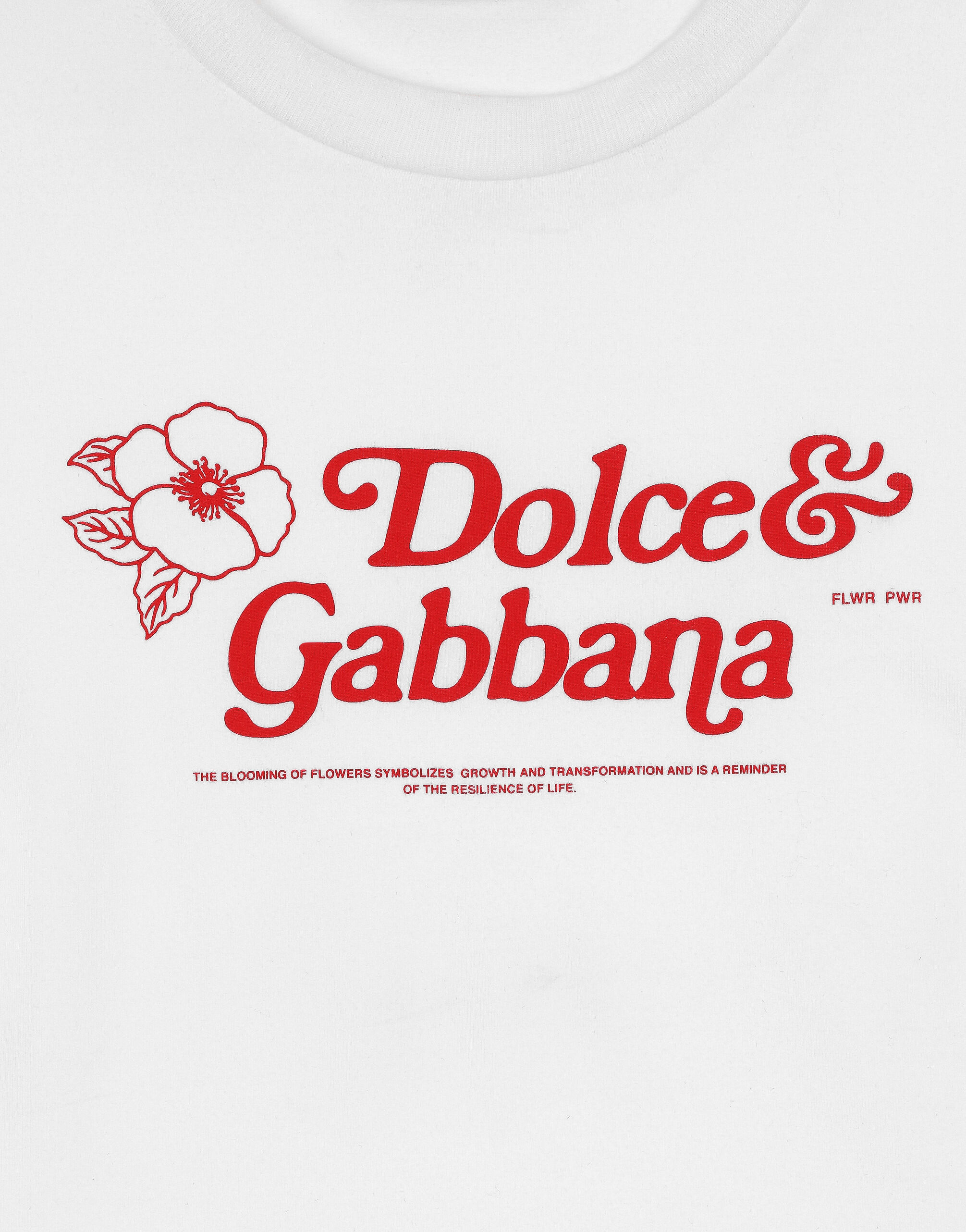 Dolce and gabbana online t shirt flower