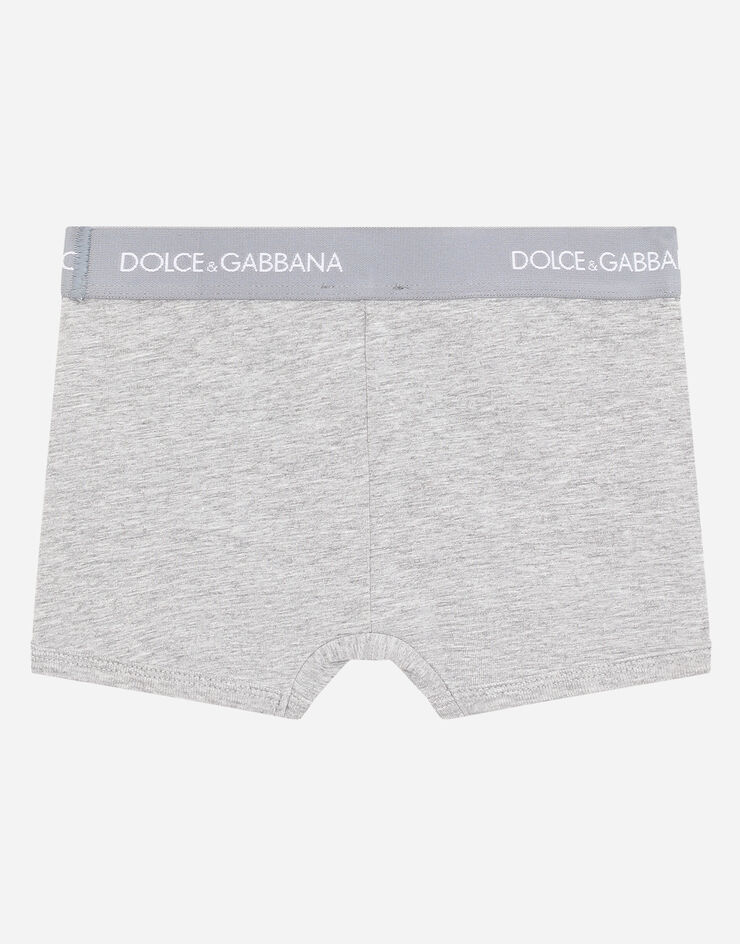 Dolce & Gabbana Lot de deux boxers avec élastique à logo Gris L4J701G7OCT