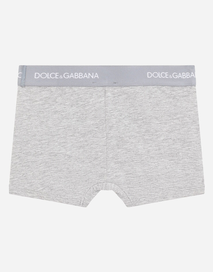 Dolce&Gabbana Boxer two-pack with branded elastic Grey L4J701G7OCT