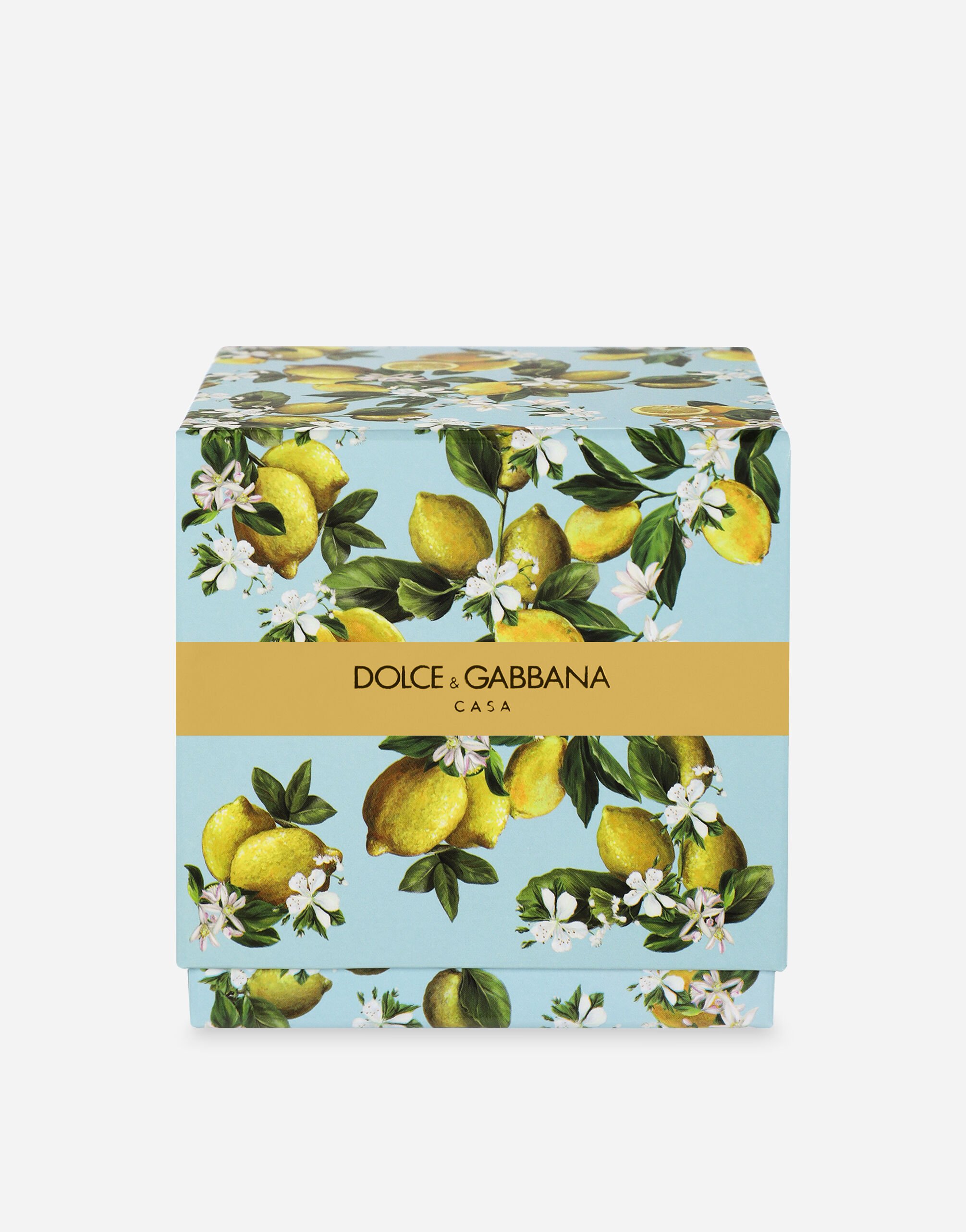 Dolce and gabbana lemon online