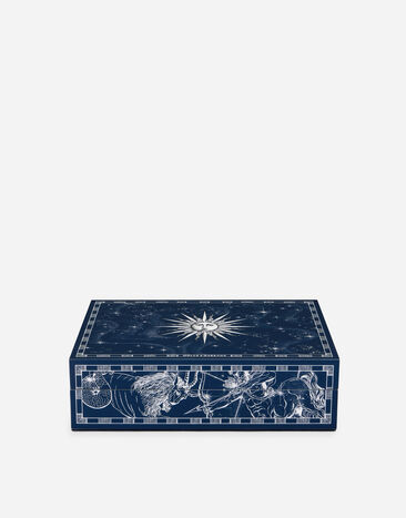Dolce & Gabbana Large Decorated Plexiglass Box Multicolor TCC201TCAMY