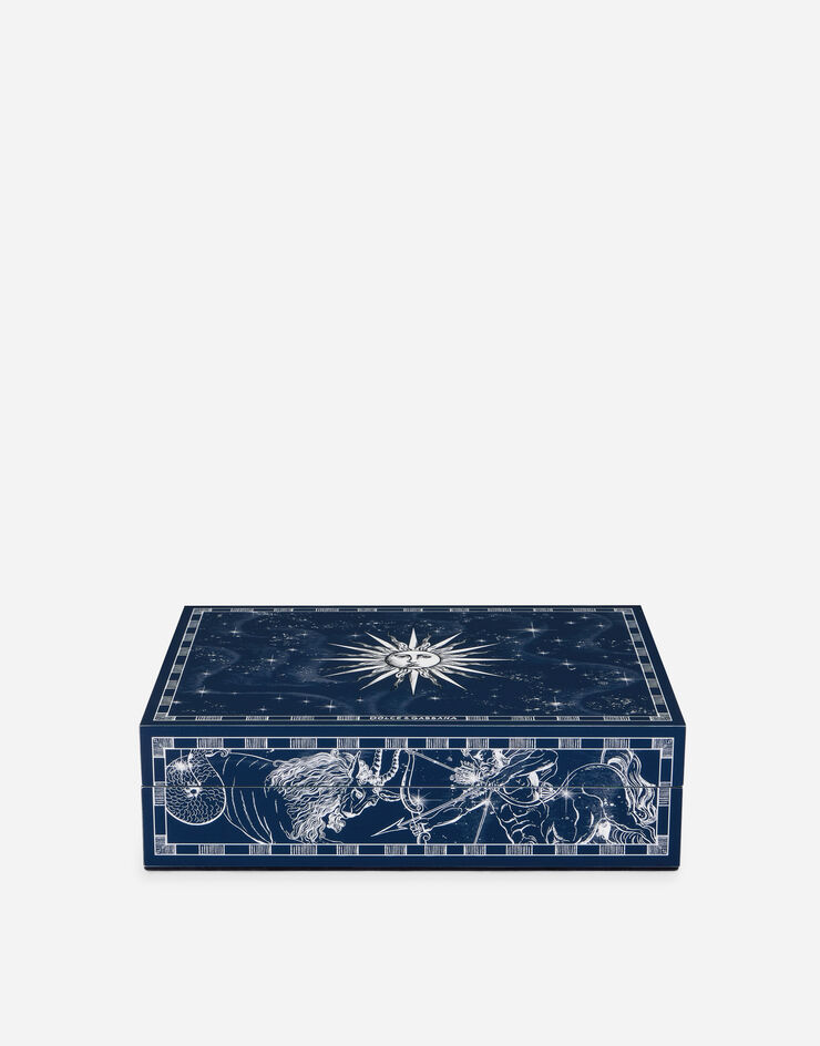 Dolce & Gabbana Große verzierte Plexiglasbox Dolce & Gabbana Große verzierte Plexiglasbox Mehrfarbig TCC201TCAMY