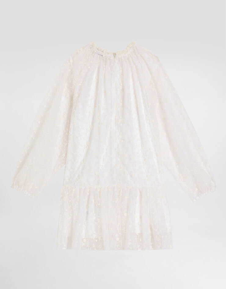 Dolce & Gabbana Kleid aus besticktem Tüll Mehrfarbig L53DO7FGMGE