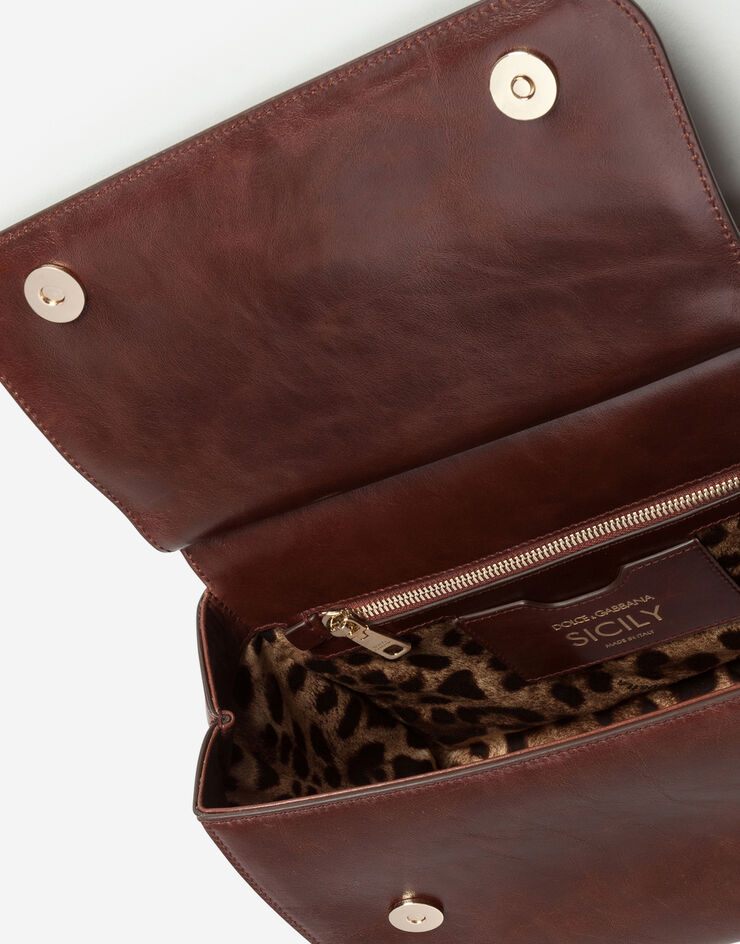 Dolce & Gabbana  Marron BB6002AW554