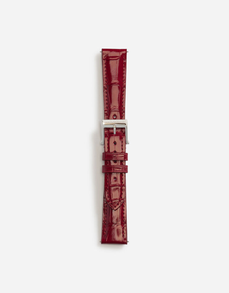 Dolce & Gabbana Cinturino in alligatore con fibbia ad ardiglione in acciaio Rosso WSFE2LXLAC1
