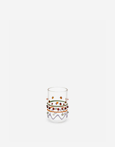 Dolce & Gabbana Shot Glass Multicolor TCB021TCALV