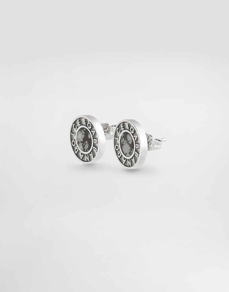 Dolce & Gabbana Dg logo and stone pin earrings Silver WER5X3W1111