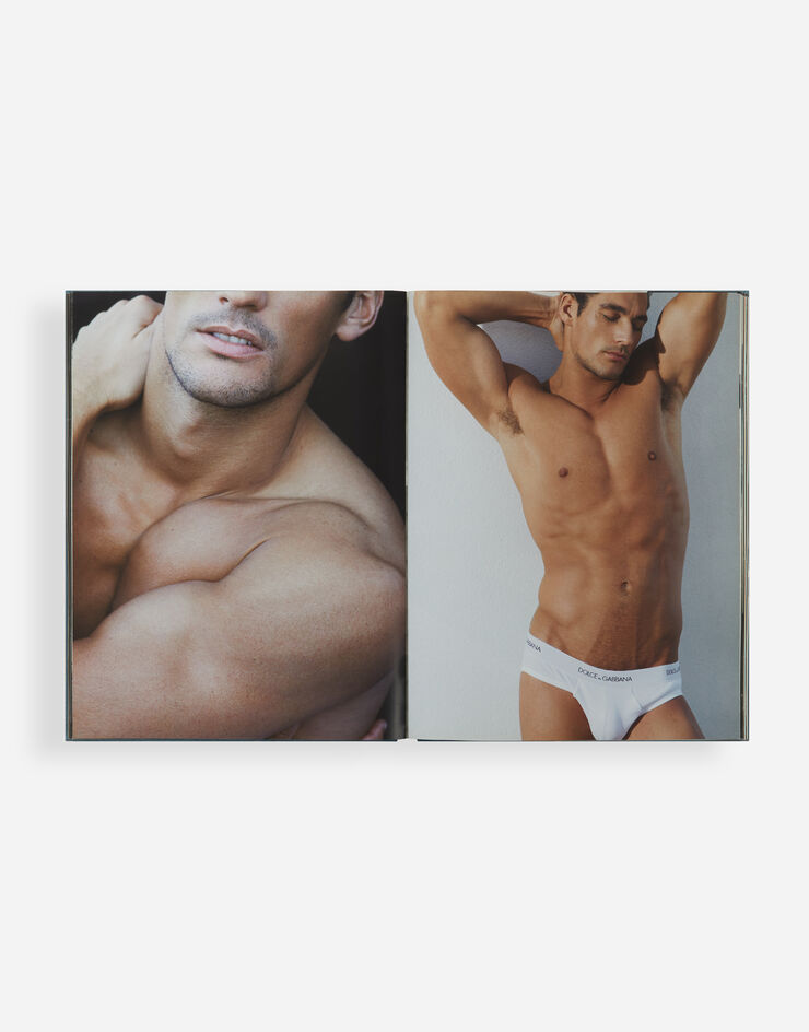Dolce & Gabbana DAVID GANDY BY DOLCE&GABBANA Multicolor VL1014VLTW4