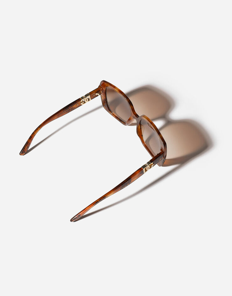 Dolce & Gabbana DG ALLURE Sunglasses Havana Leo VG4475VP013