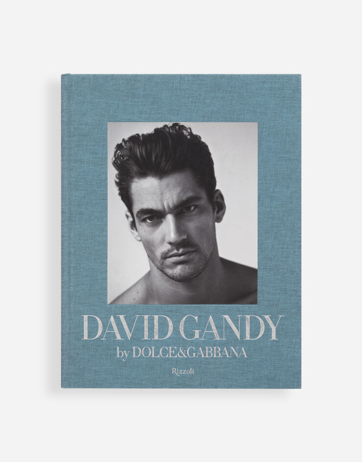 Dolce & Gabbana DAVID GANDY BY DOLCE&GABBANA Multicolor VL1014VLTW4