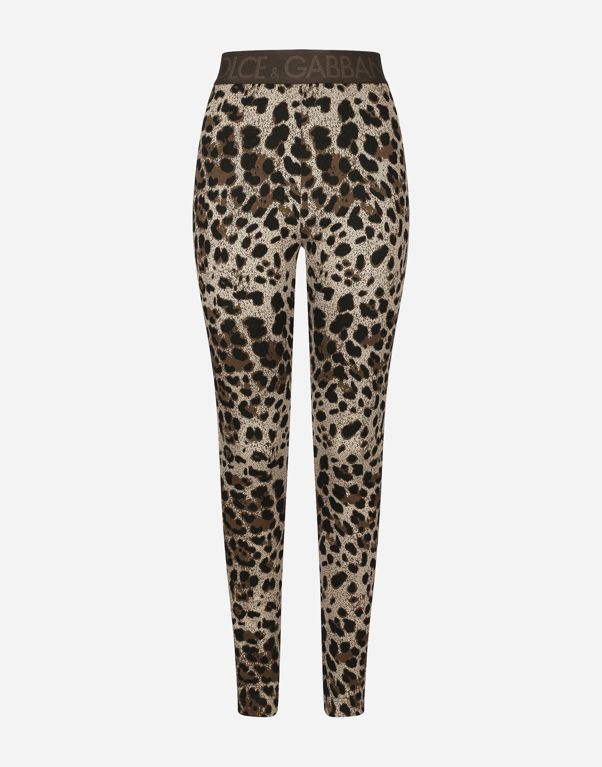 Dolce & Gabbana Jersey leggings with jacquard leopard design Black FTBMPTFU21E