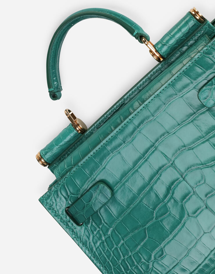 Dolce & Gabbana Small alligator skin Sicily 62 bag Green BB6836A2R08