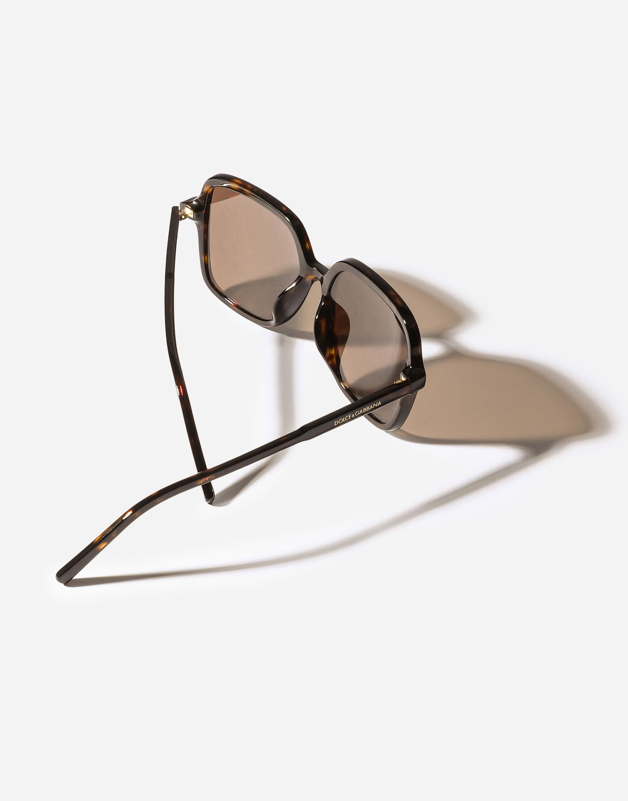 DG Everyday Sunglasses in Havana for Women | Dolce&Gabbana® US