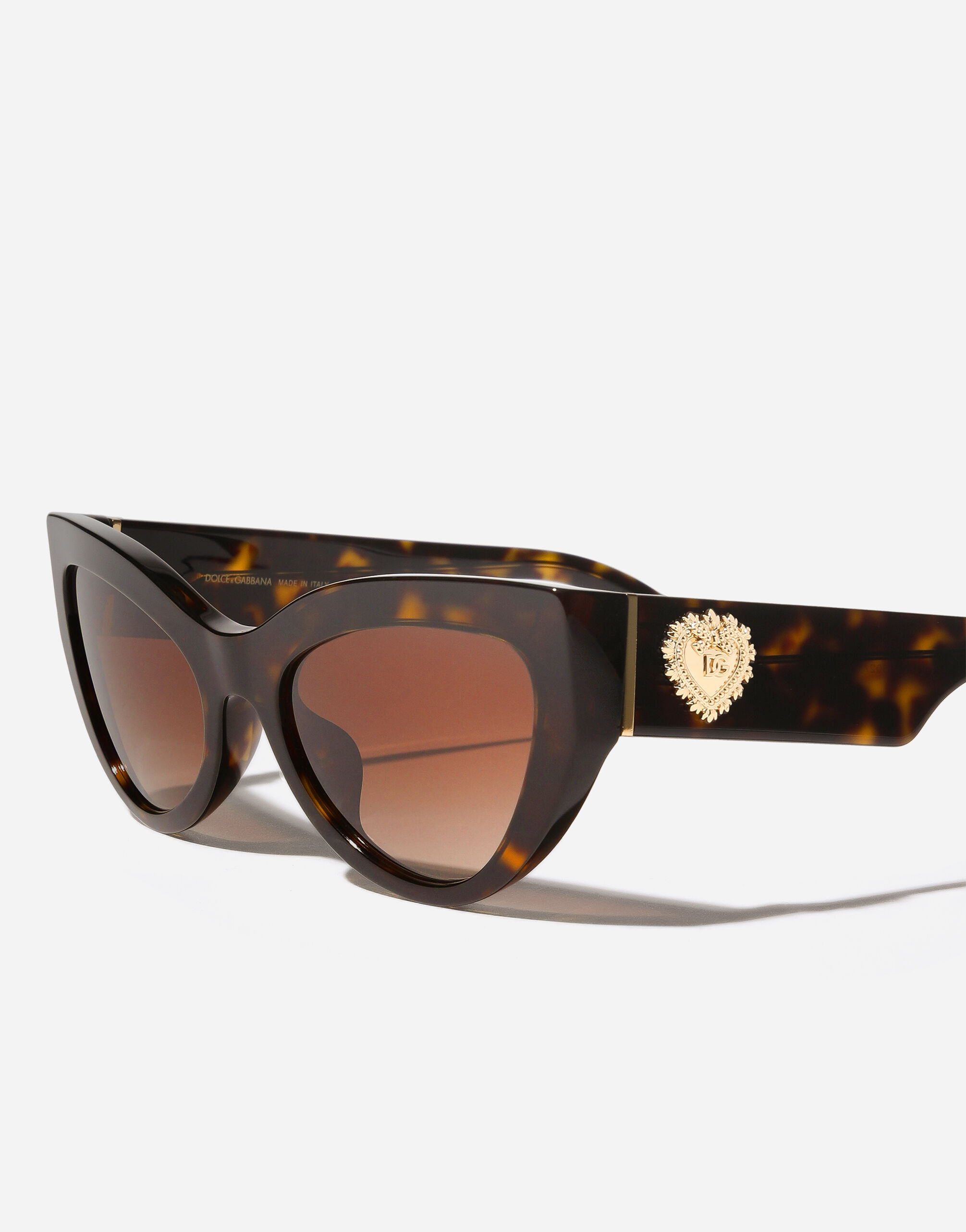 Devotion Sunglasses in Havana for Women | Dolce&Gabbana® US