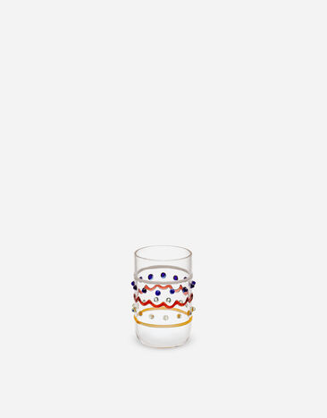 Dolce & Gabbana Shot Glass Multicolor TCB021TCALV