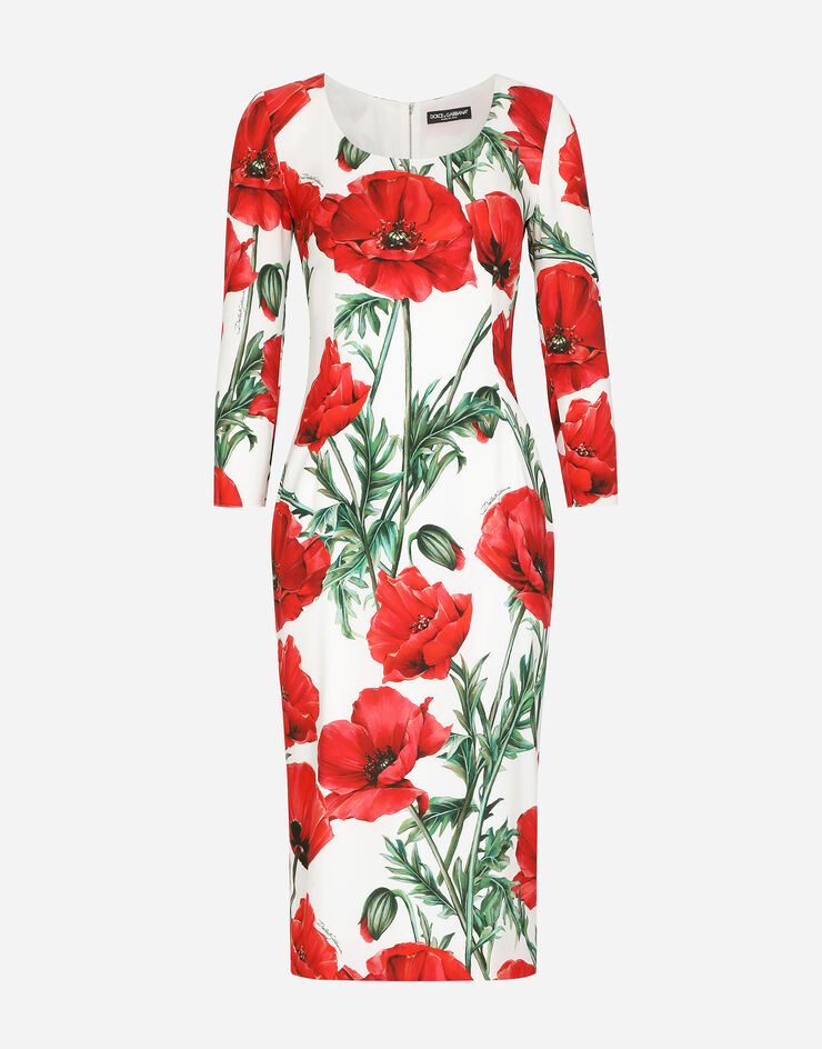 Dolce & Gabbana  Multicolor F6AWGTFSA4P