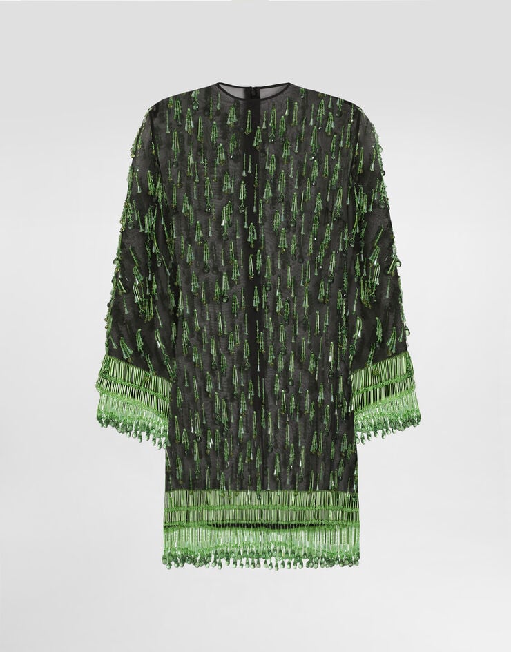 Dolce & Gabbana Short flared organza dress with embroidery Multicolor F60EHZGDDG2