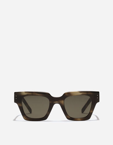 Dolce & Gabbana DNA Sunglasses Green havana VG4413VP003