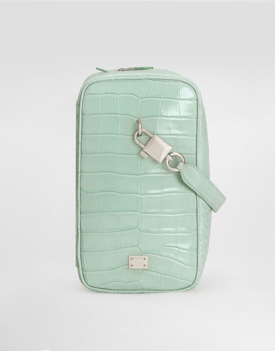 Lock polished alligator handbag