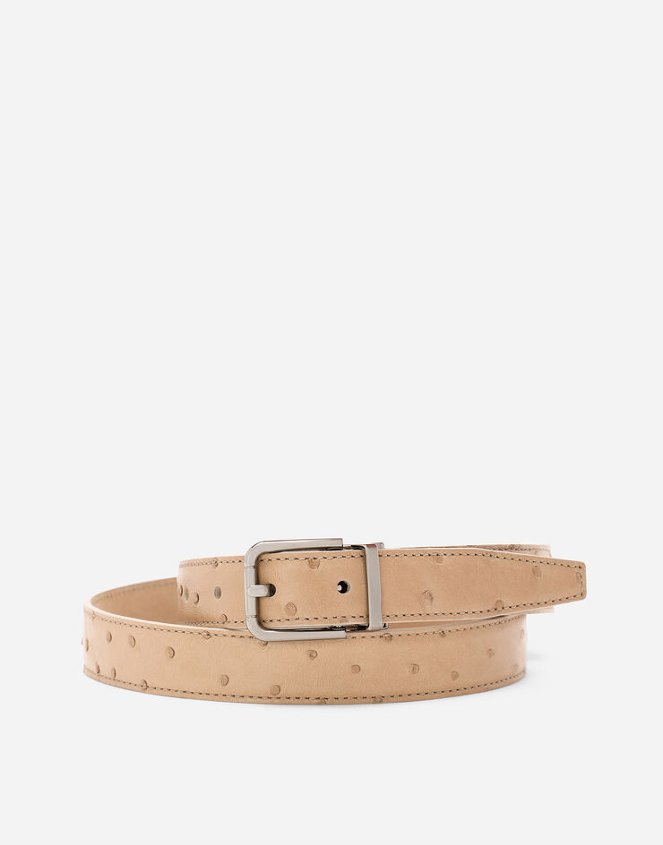 Dolce & Gabbana オーストリッチレザー ベルト Beige BC4337A8M90