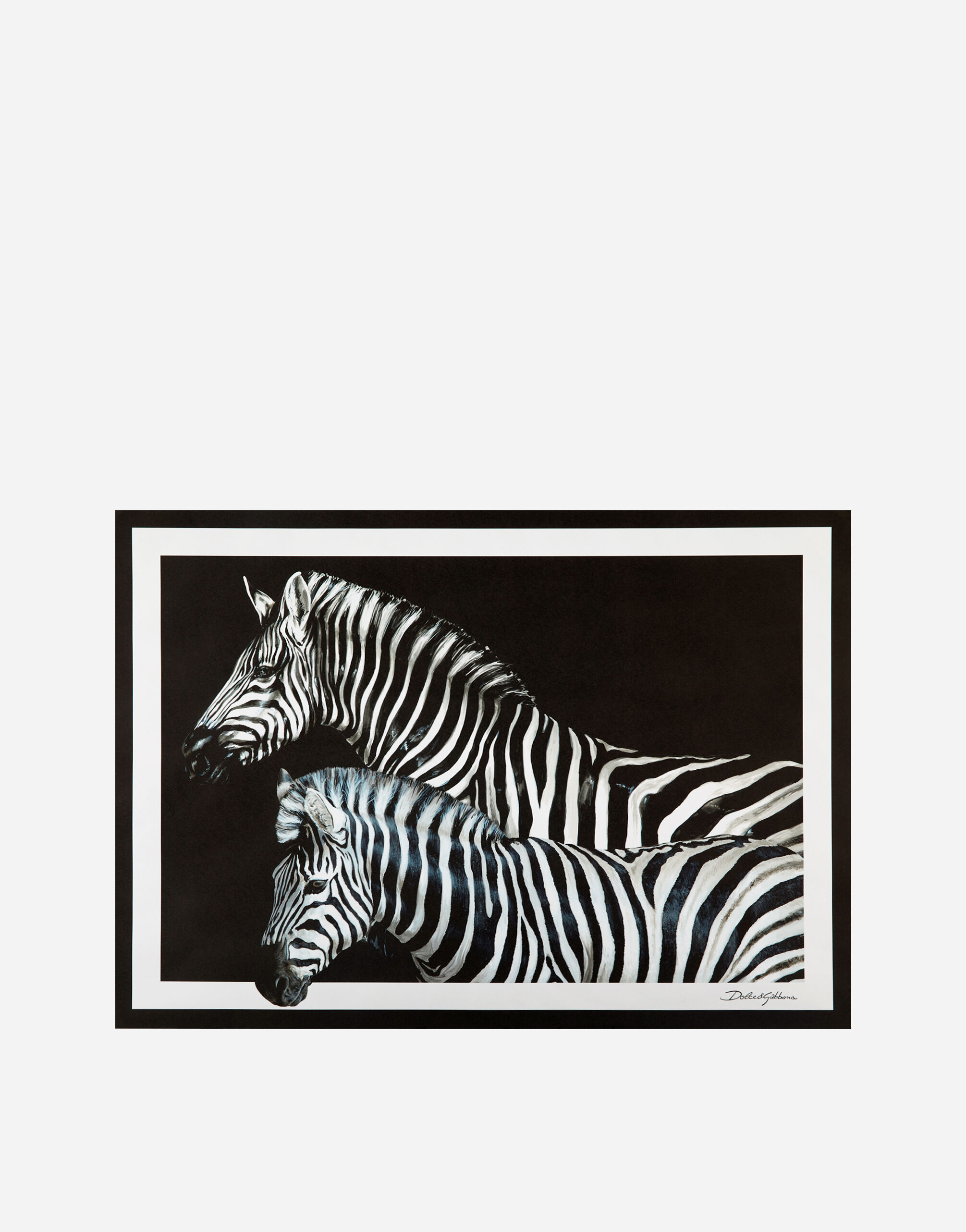 マルチカラー ペーパーナフキン 36枚セット | Dolce&Gabbana®