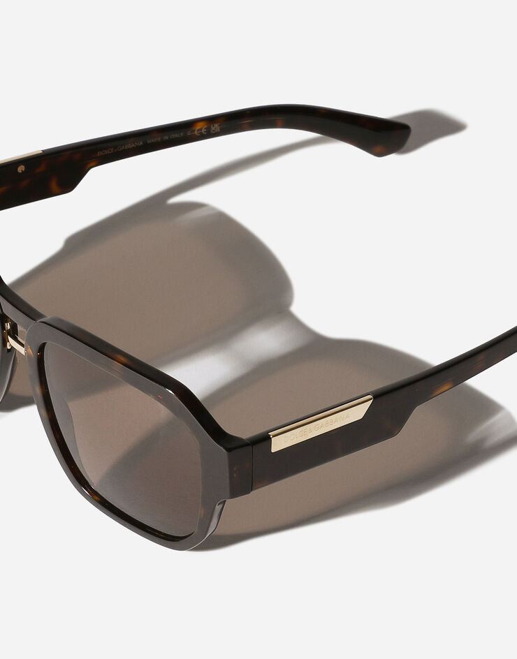 Dolce & Gabbana Mirror logo sunglasses Brown VG446DVP273