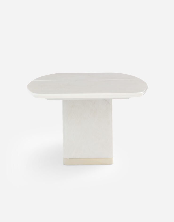Dolce & Gabbana Moss table Dolce & Gabbana Moss table Multicolor TAE102TEAA3