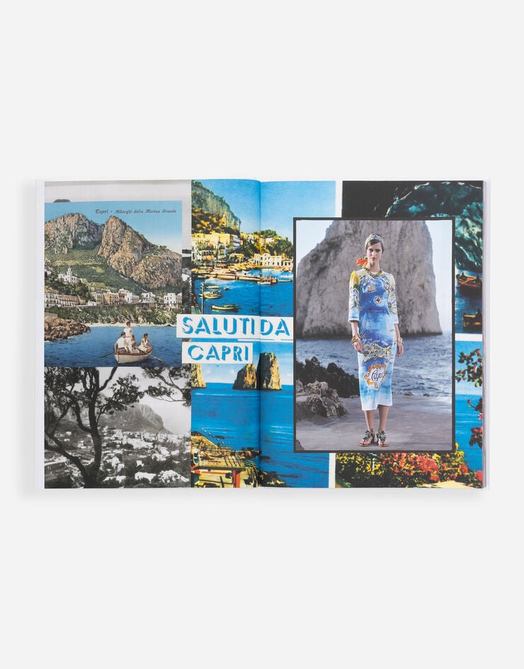 Dolce & Gabbana Dolce&Gabbana Alta Moda Multicolor VL1161VLTW2